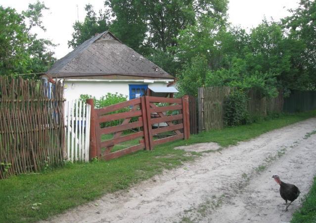 Kалиновий Kущ Dmitrenki Luaran gambar