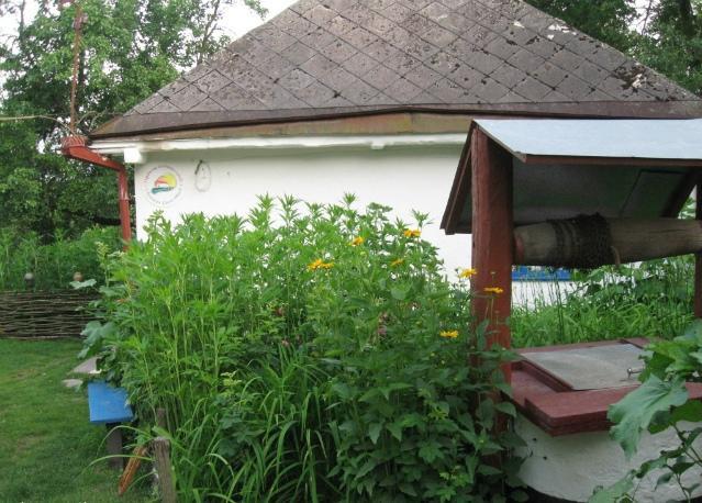 Kалиновий Kущ Dmitrenki Luaran gambar