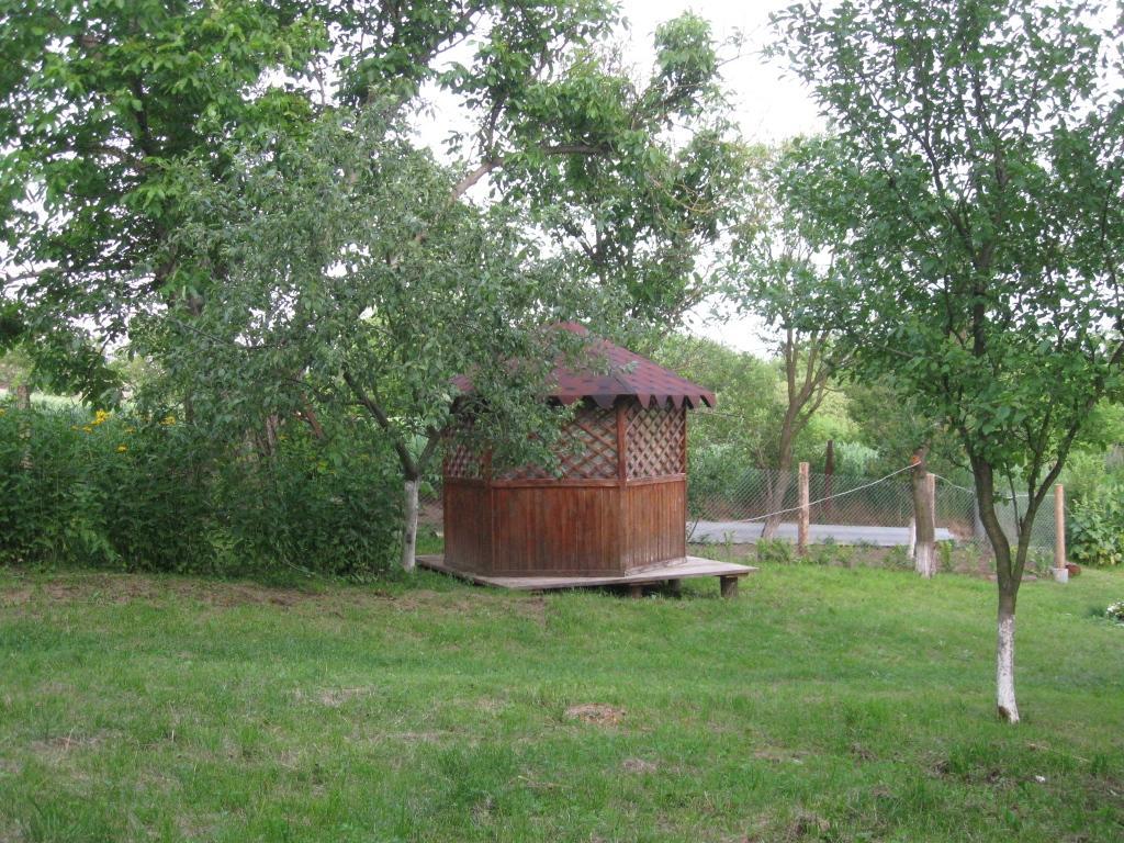 Kалиновий Kущ Dmitrenki Luaran gambar